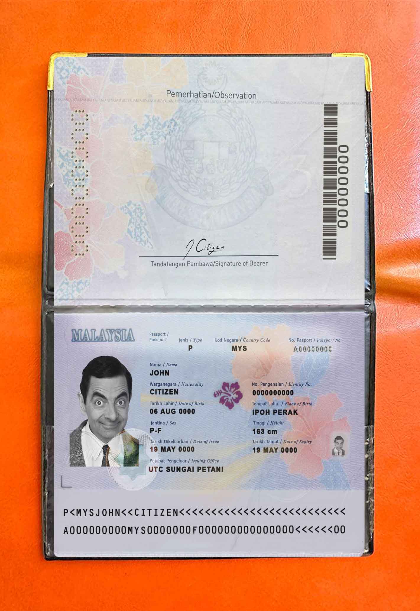 Malaysia passport (2017 present) photo look PSD template